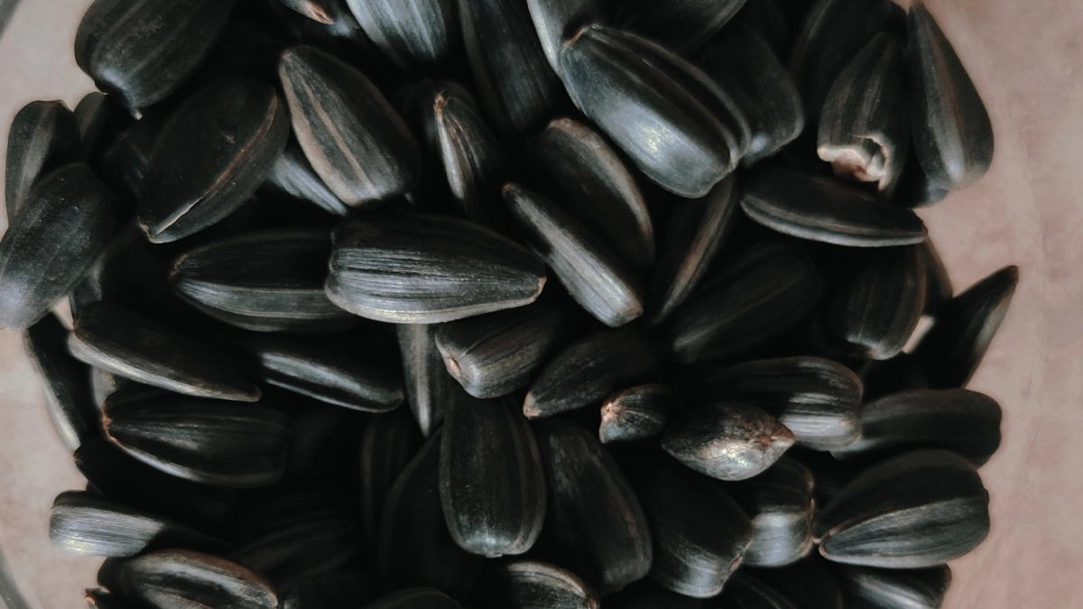 Апрель завалил Светофор продуктовыми новинками: завезли алтайские семечки по 125 руб размером с виноград - что еще нашла на полках