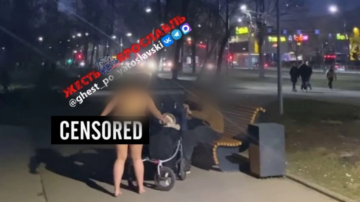 Обнаженная ярославна попыталась забрать соску у малыша в брагинском парке 
