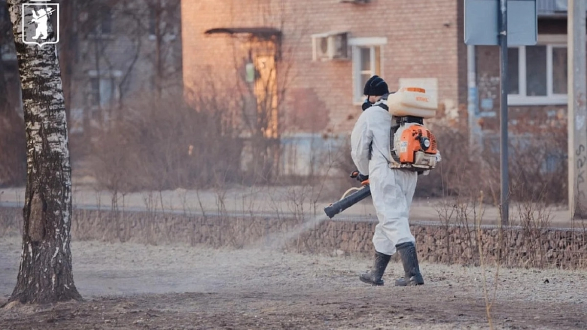 Полтысячи гектаров под прицелом — в Ярославле начинают обработку от клещей