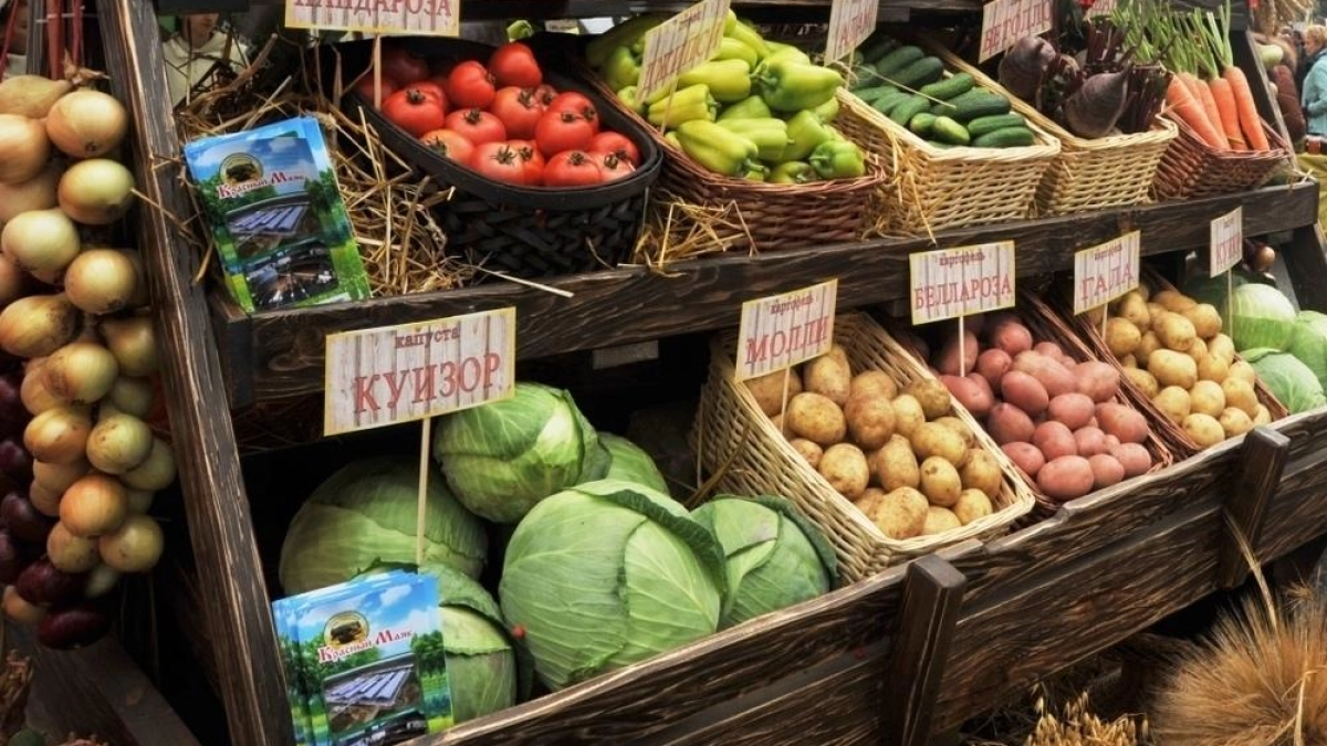 Томаты в Ярославской области подорожали на 21% — огурцы рухнули на треть