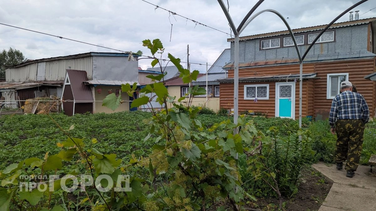 Три ошибки при строительстве на участке, из-за которых можно попасть под проверку