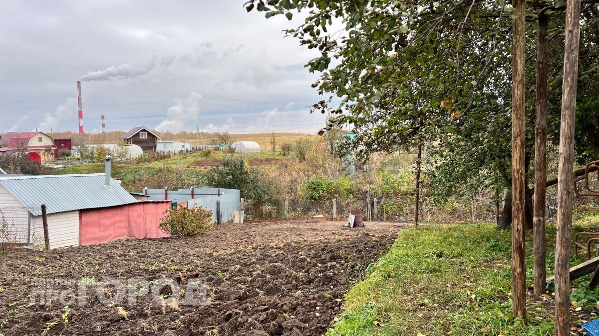Неправильно установленный забор может лишить дачника земли 