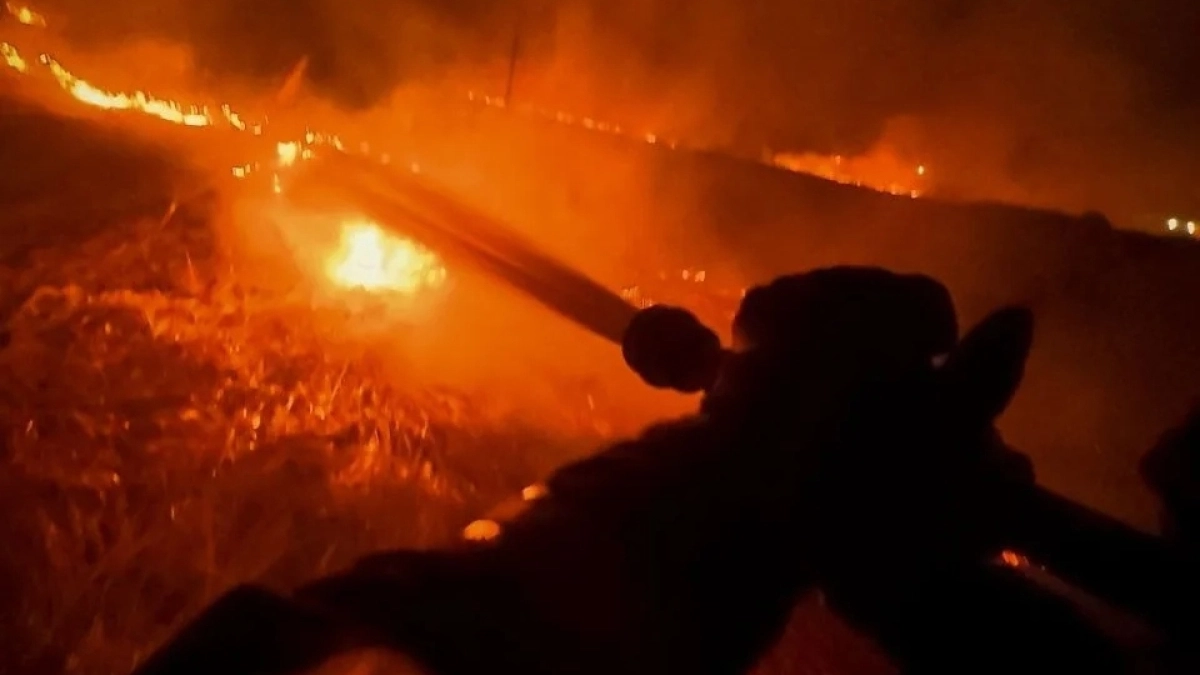 Во Фрунзенском районе Ярославля горело два гектара сухой травы