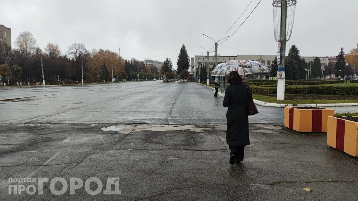 Выходные под угрозой: в Центральную Россию грядут заморозки и мокрый снег — готовьте тёплые вещи