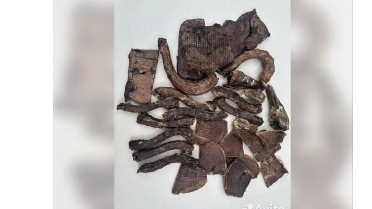 В Ярославле выставили на продажу готовый бизнес по производству натуральных сушёных лакомств для собак и кошек