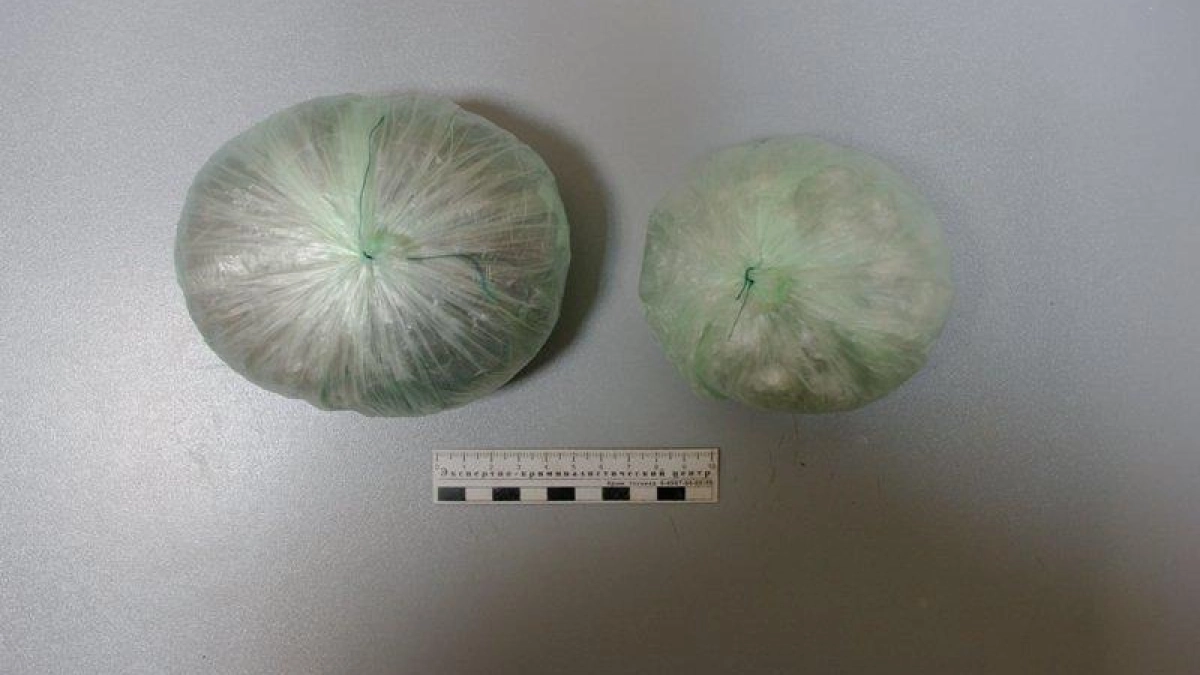 В Ярославле стартует акция «Сообщи, где торгуют смертью»: как помочь анонимно