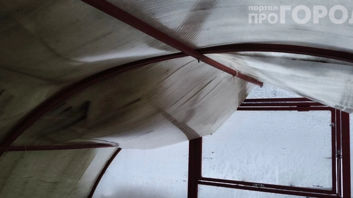 Теплица на выброс: одна ошибка при монтаже поликарбоната — и всё, возврата нет