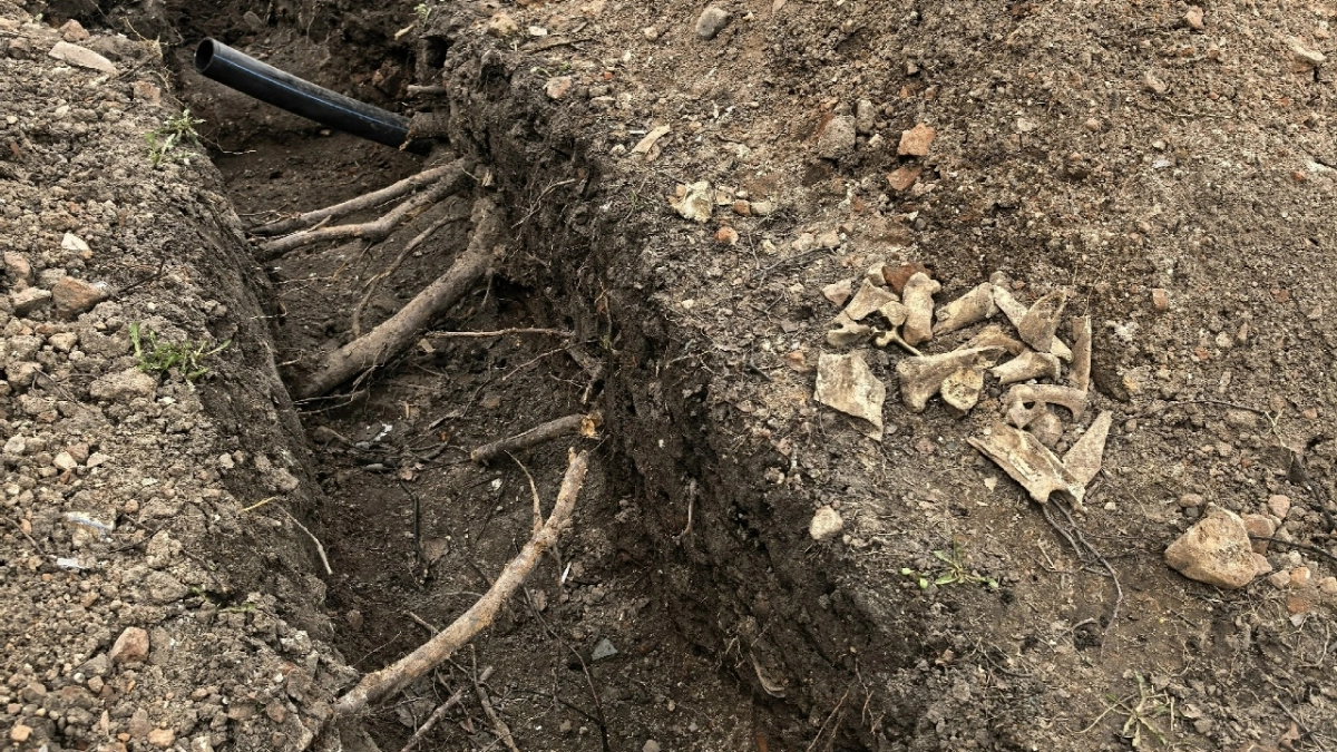 В центре Ярославля во время строительных работ нашли кости, похожие на человеческие