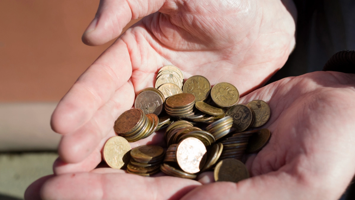 Огурцы в Ярославской области подешевели почти на 7% за неделю