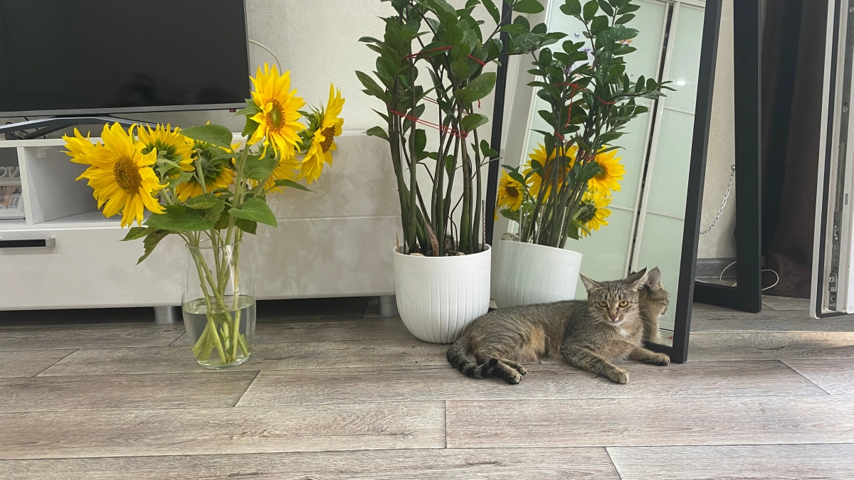 Выбросьте плитку с ламинатом из прихожей: показываю, что стало с ними уже через 2 года - нашел им более эффектную замену