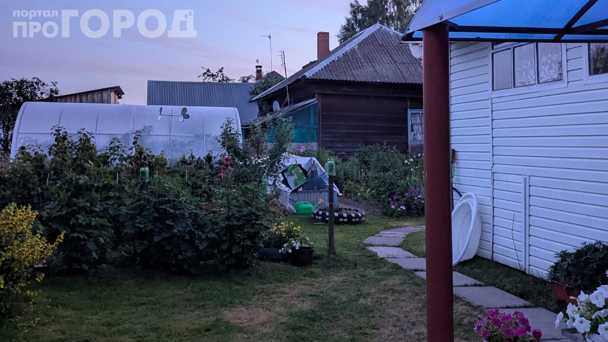 Клещи с дачи бегут в ужасе: раскрываем 5 народных способов очистки участка — результат гарантирован