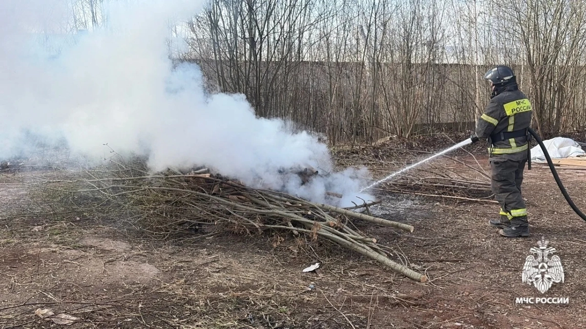 В Переславль-Залесском районе нарушителей палов сухой травы наказали предупреждением