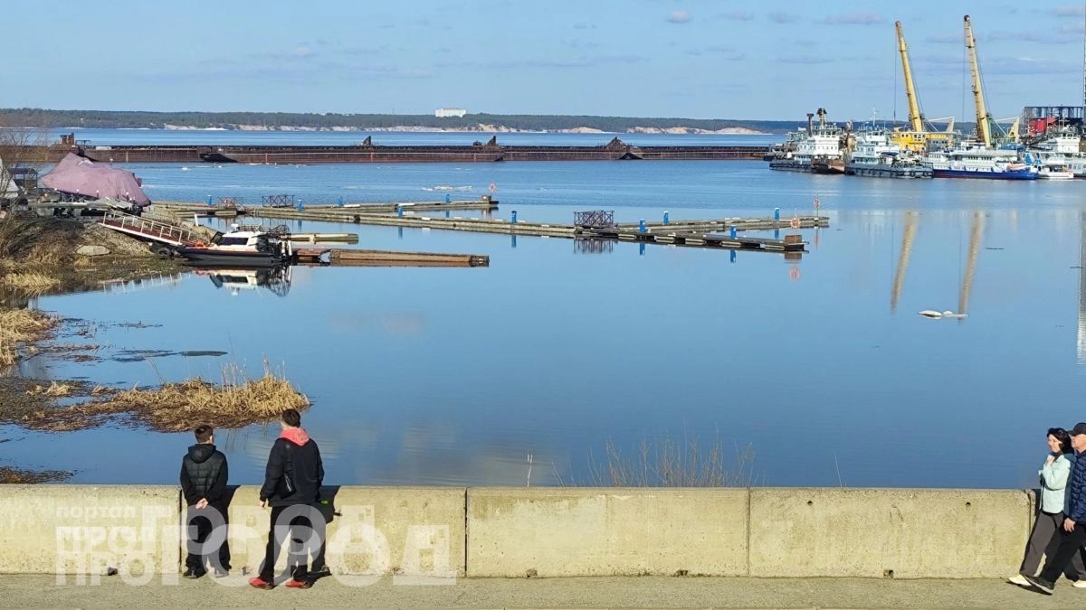 Магнит для успеха: проверьте список имен, которые открывают перед их обладательницами все закрытые двери