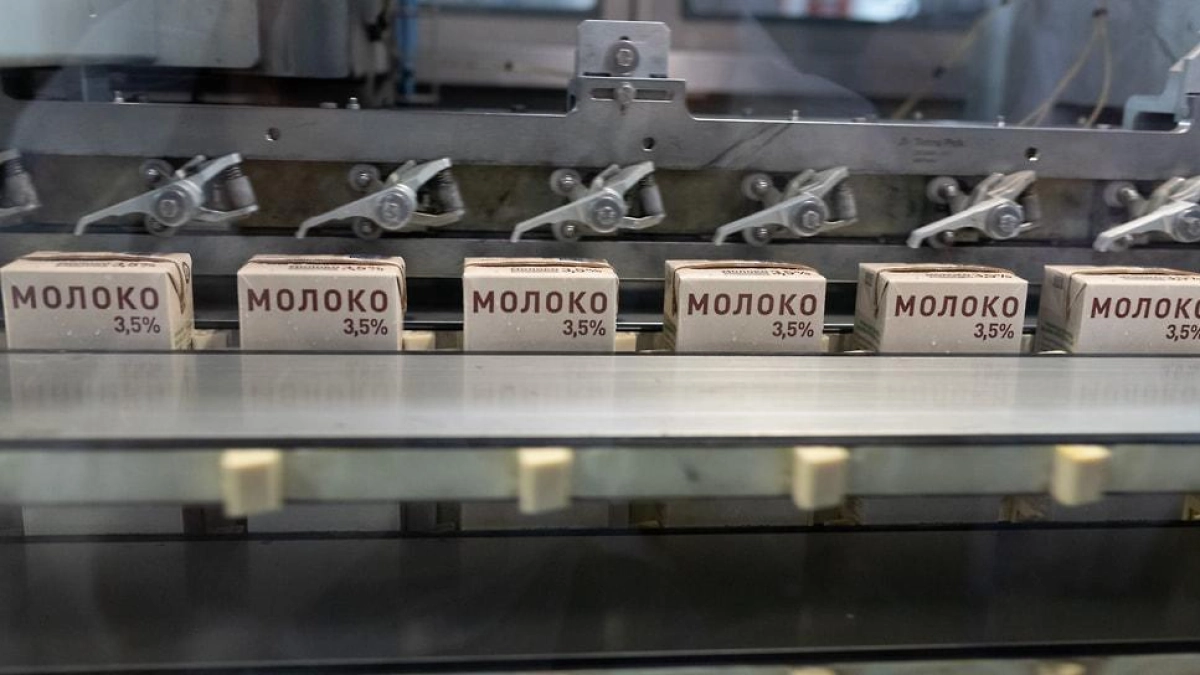 Субсидия на переработку молока в Ярославской области сократилась до 117 руб. за тонну