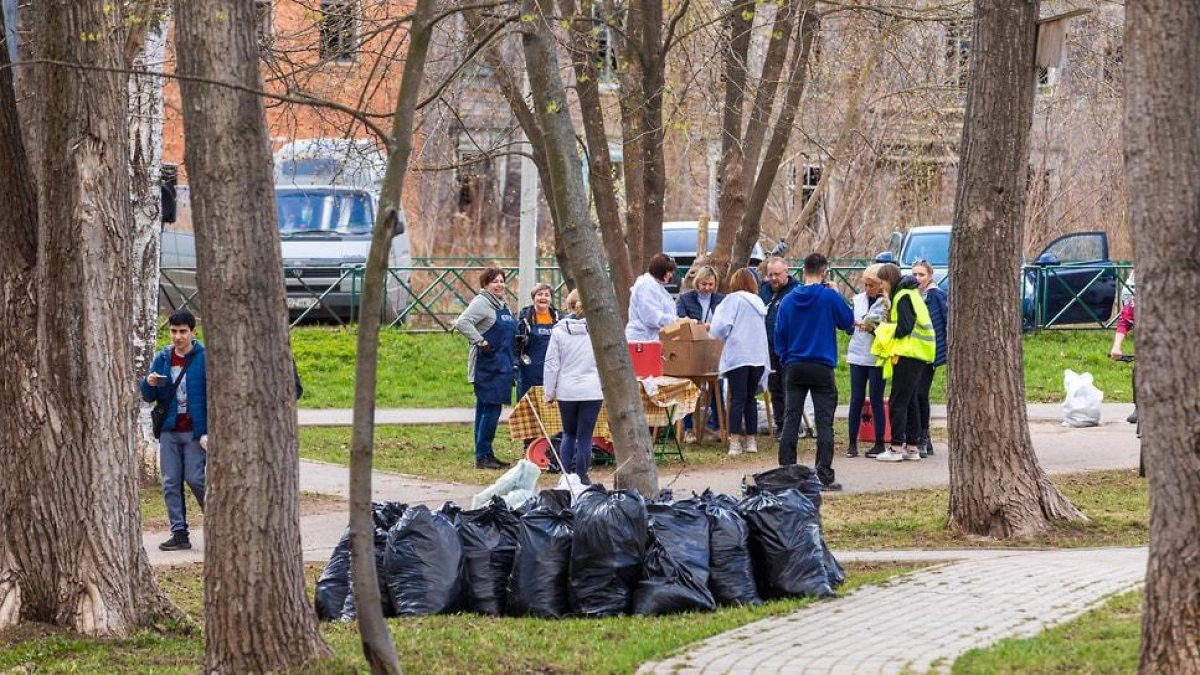 25 апреля Ярославская область выйдет на Всероссийский субботник