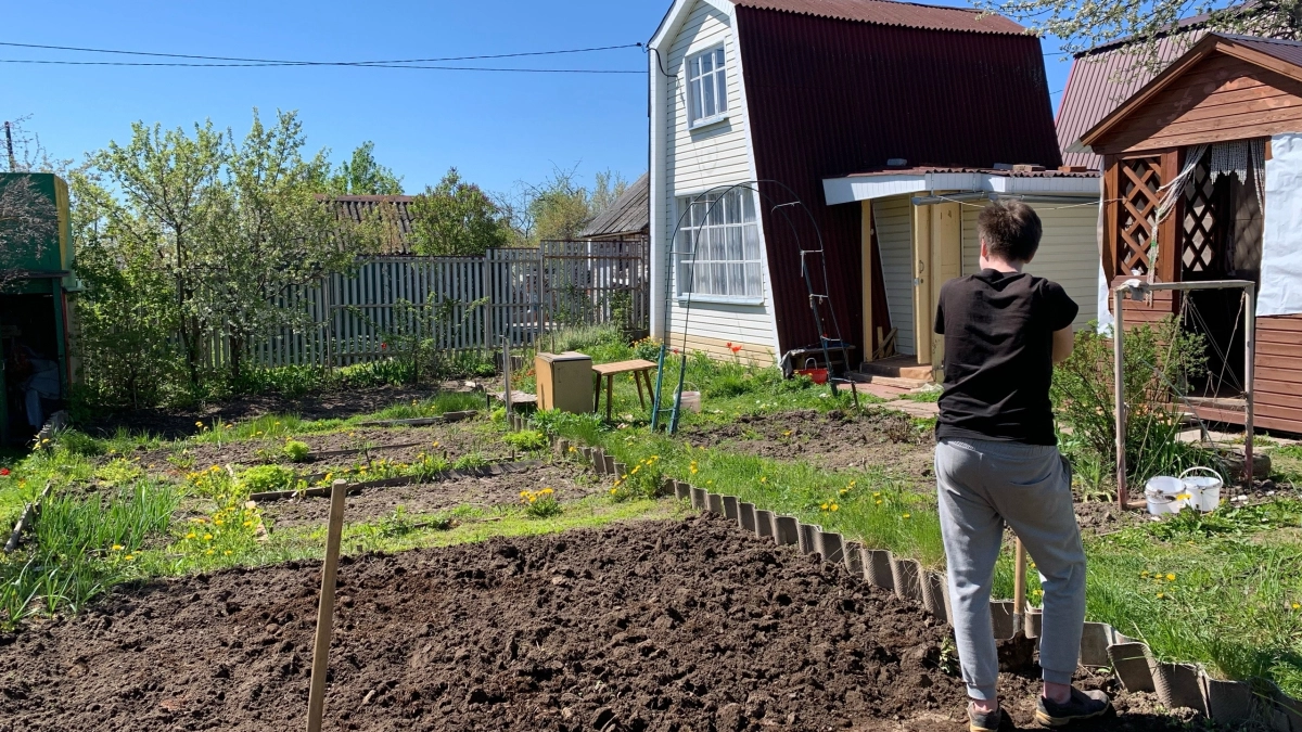 Дачники, остановитесь: в Гидрометцентре призвали не сажать рассаду в открытый грунт до июня -  вот почему