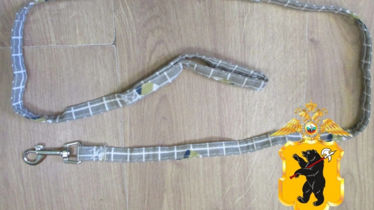 "Воспитание" петлёй: в Ярославской области 47‑летний отец сжал шею дочери поводком и получил статью