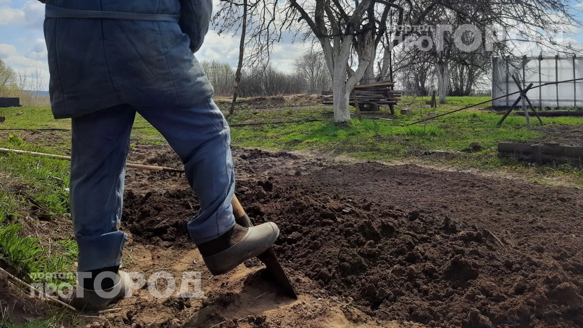 Снег больше не липнет к лопате: копеечный способ превращает тяжелую работу в легкую прогулку за пять минут