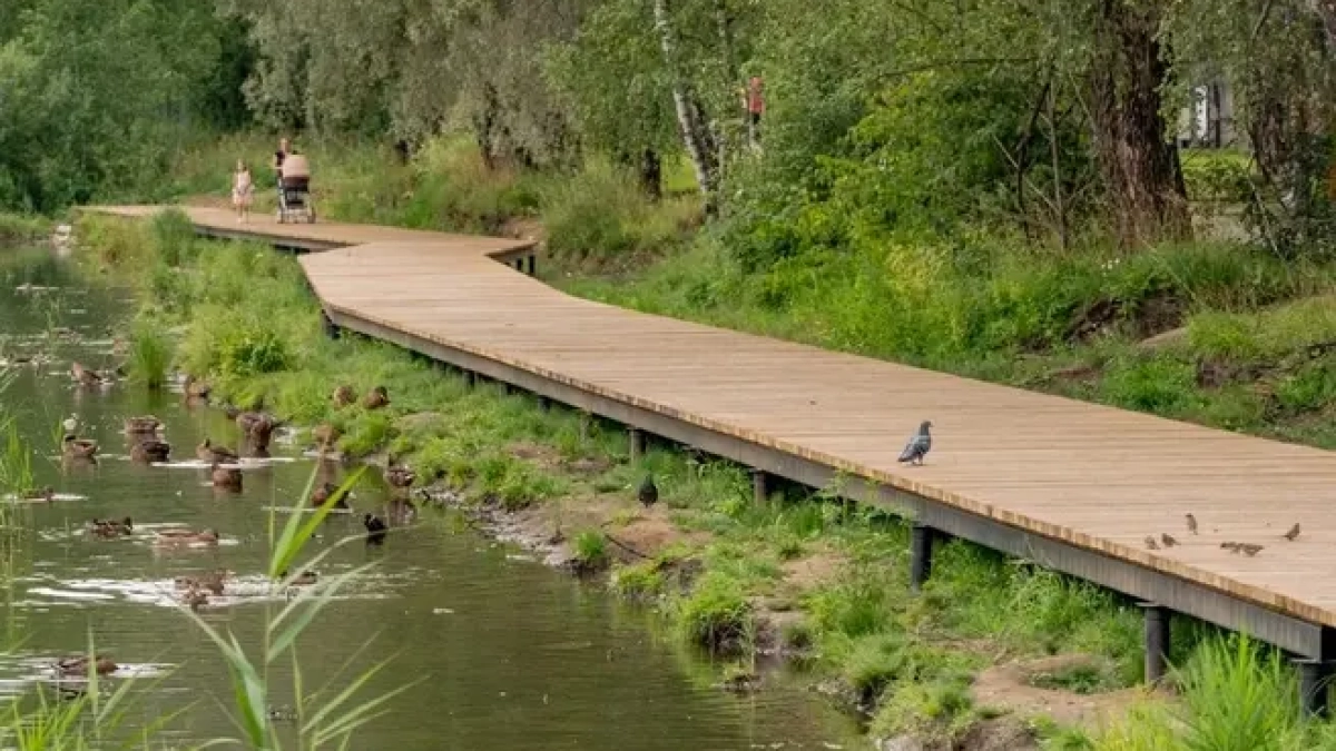 В Ярославле благоустроят парк Судостроителей за 29 млн рублей