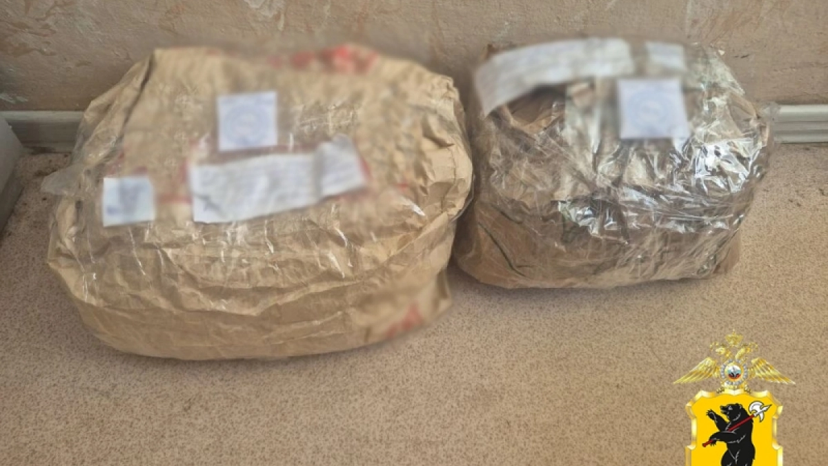 Сделал запас на зиму: в доме в Тутаевском районе нашли килограмм конопли