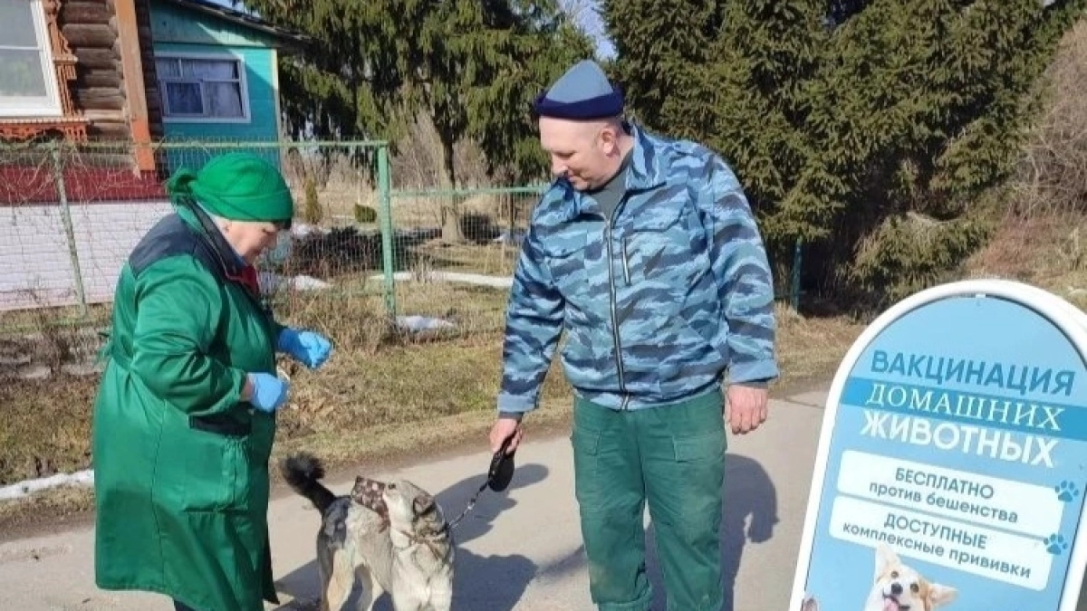 Ветврачи Ярославля защитили от бешенства целую армию животных