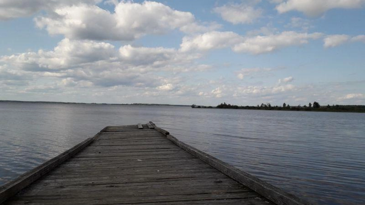 Нерест начался: в Ярославской области ввели ограничения на рыбалку