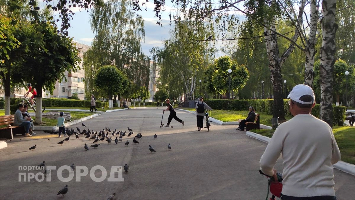 Аллергикам сидеть дома: началась волна цветения березы, пыльцой накроет всех