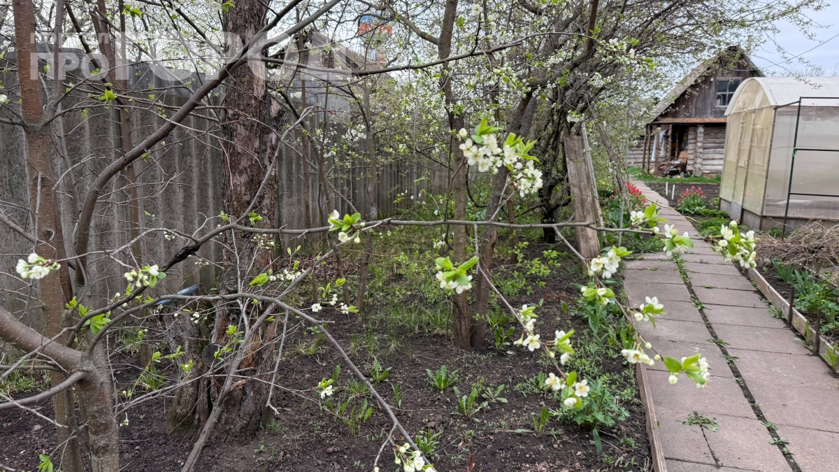 Хватит гадать, брать ли куртку: апрельские снегопады не повторятся — на майские пообещали +21