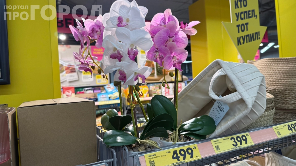 Купила орхидею в Чижике за 499 рублей, а соседка подумала, что живая: моя хитрость для тех, у кого ничего не цветёт