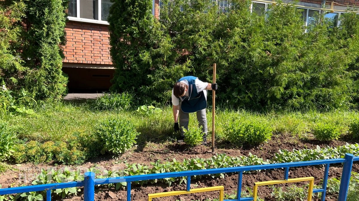 Трава для ленивого газона: посадил и забыл на 15 лет - косишь раз в сезон