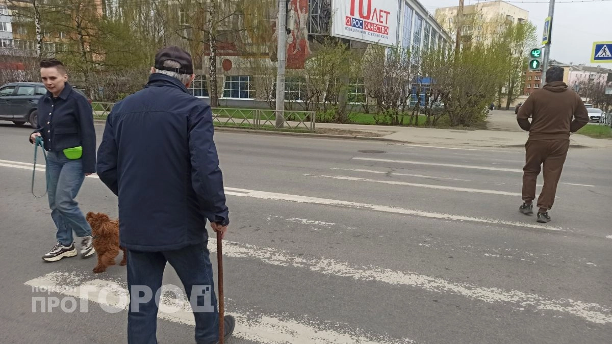 "Кот" унес миллионы: житель Дзержинского района доверился голосу в трубке