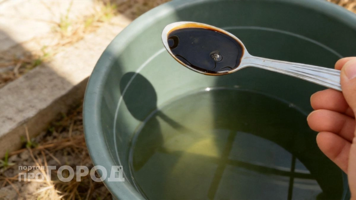 Забыла про навоз навсегда: просто добавляю ложку гумата в воду и превращаю любую почву в рыхлый чернозем