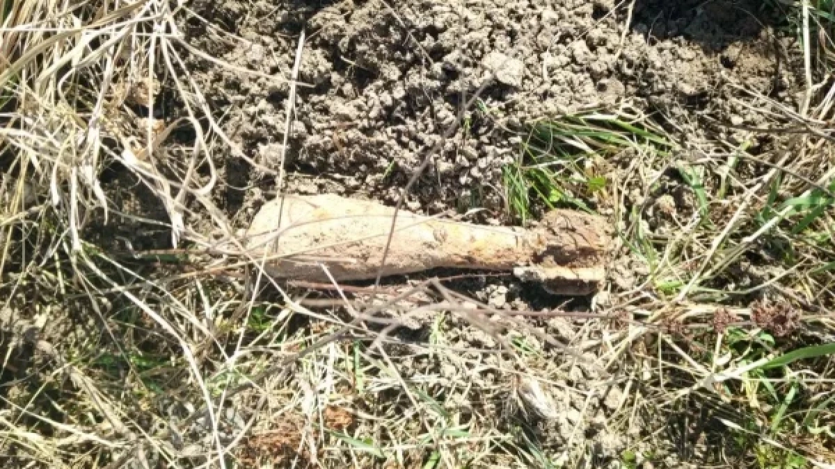 В Ярославле нашли мину времен Великой Отечественной войны