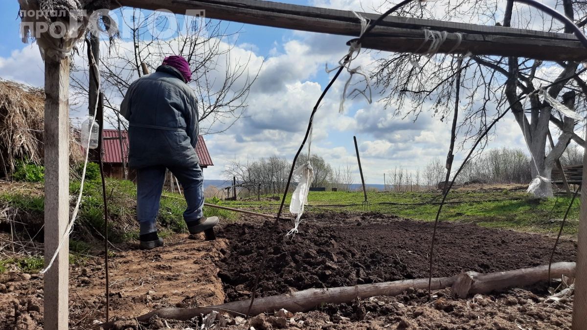 5 ошибок новичков на майские 2026: после третьей хочется сжечь лопату и уехать в город