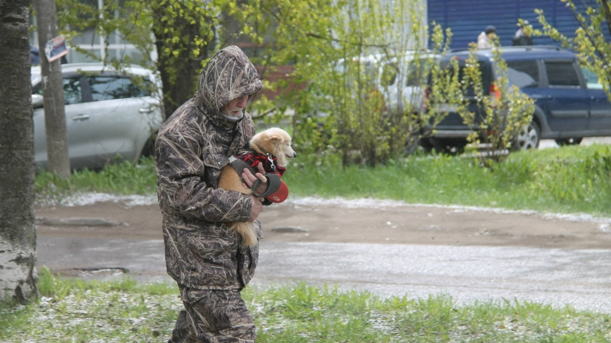В Ярославскую область ворвутся заморозки