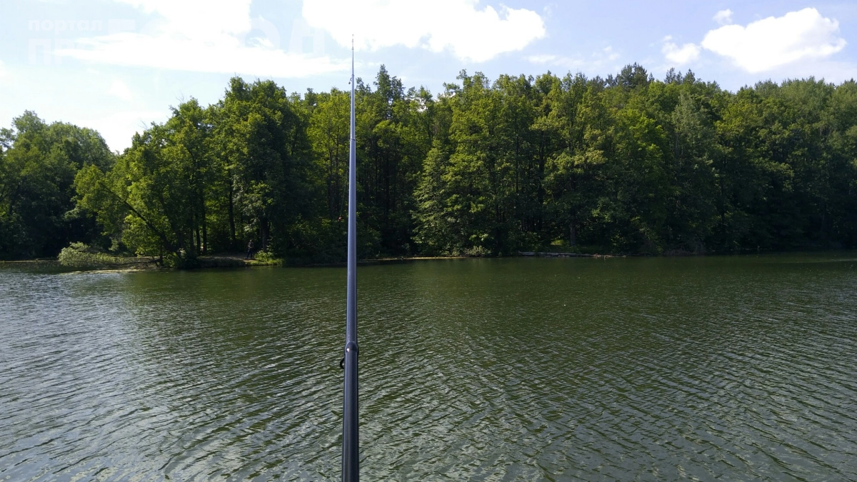 Ведро рыбы за час на пустой крючок: раскрываем секреты ловли, о которых молчат опытные рыбаки