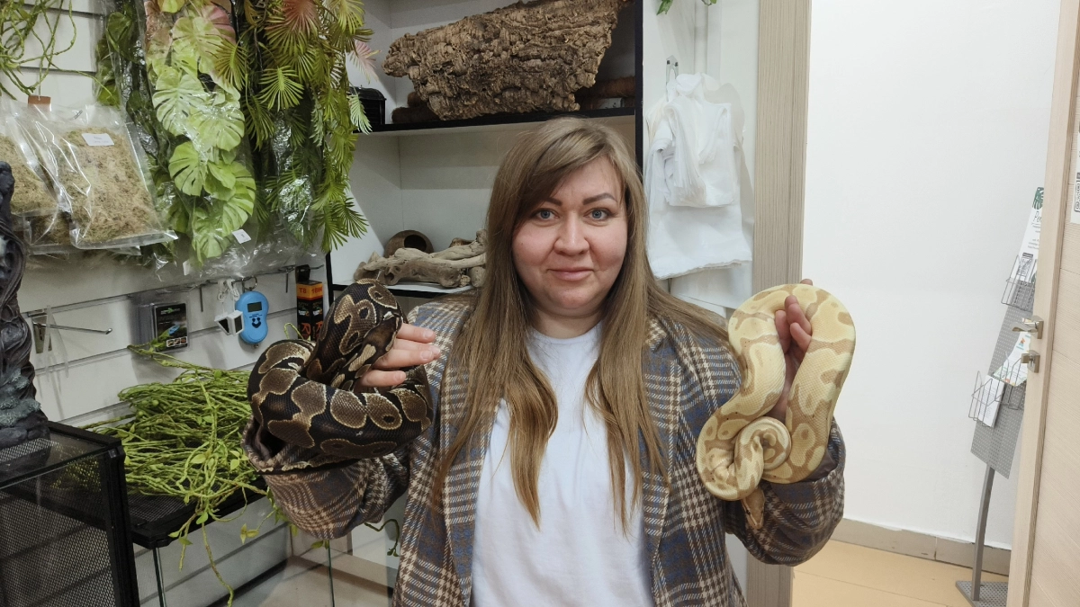 «От подарка дочке до питомника в Брагино: почему ящерицы и змеи практичнее кошек и собак в качестве домашних питомцев