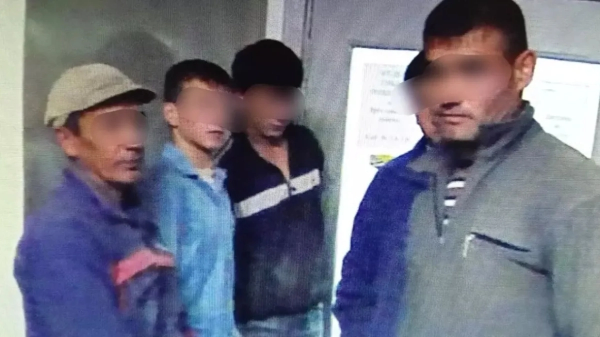 Купили бумагу в Москве — оказались фигурантами дела: как мигрантов вывели на чистую воду в Ярославле