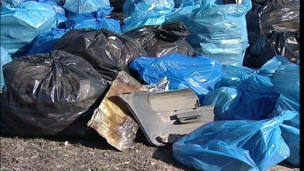 Тысячи ярославцев вышли на субботник: убраны десятки парков и скверов