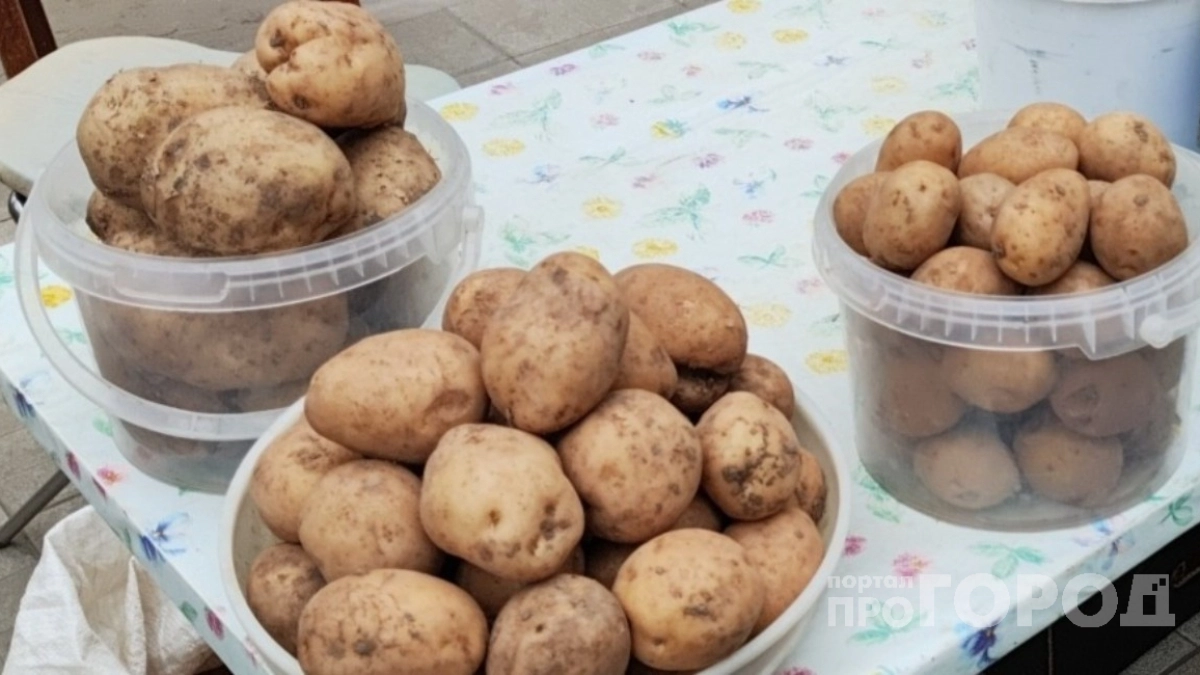 Забудьте про навоз и золу: спичечный метод посадки картофеля дает 12 клубней с куста — урожай стабильный годами