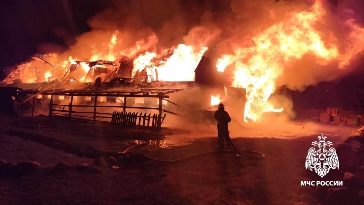 Под Переславлем сгорела ферма, двое мужчин и шесть животных погибли в ночном пожаре