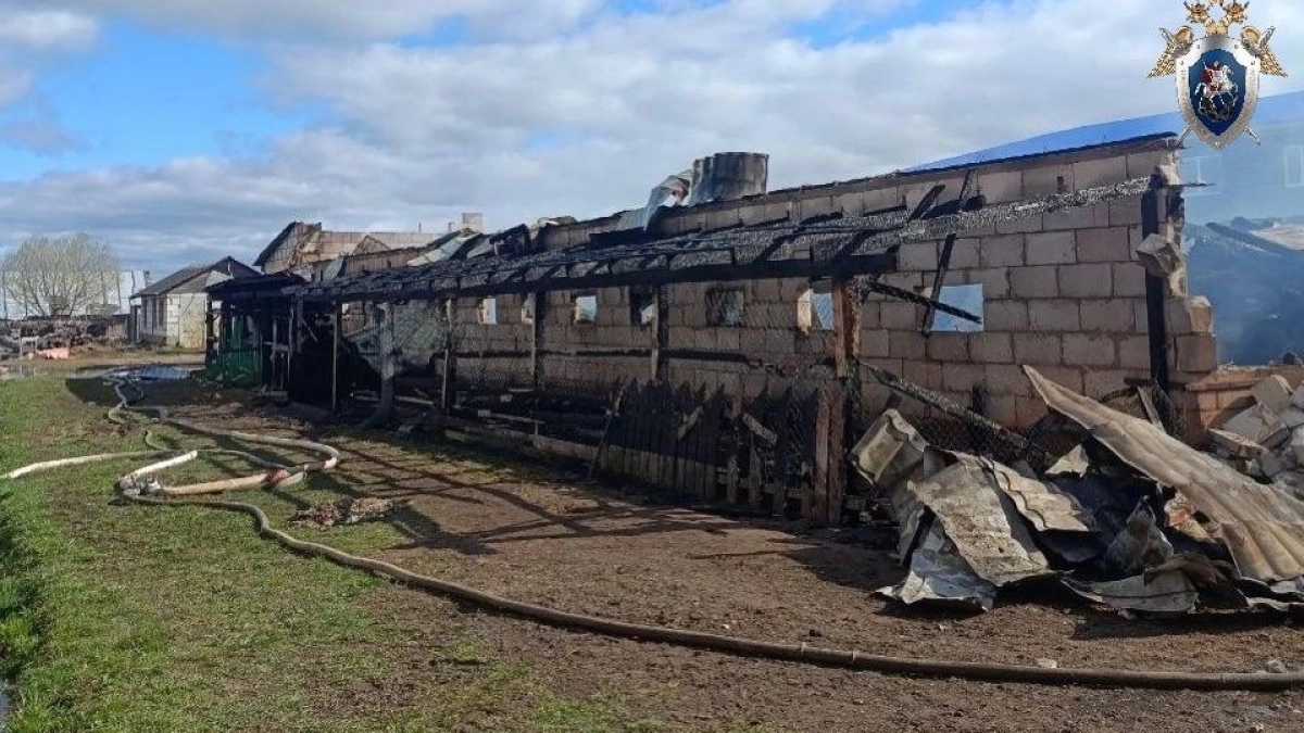 Пожаром в Переславле, где погибли двое мужчин, заинтересовались следователи