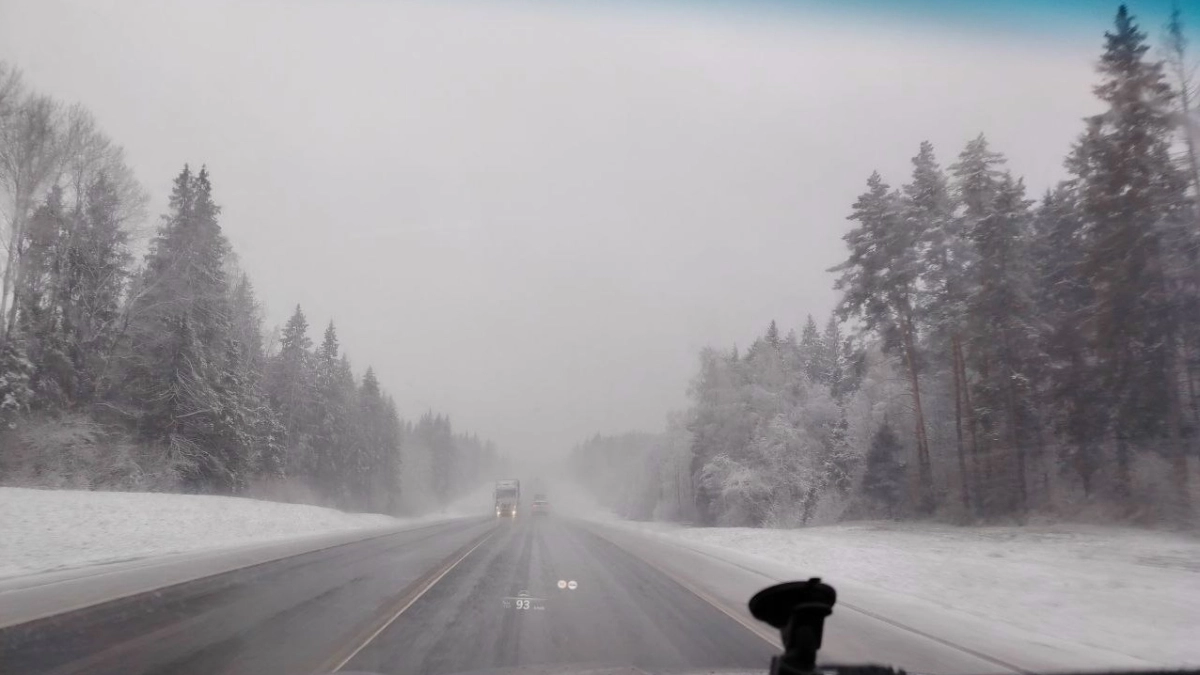  На Ярославскую область обрушился снегопад