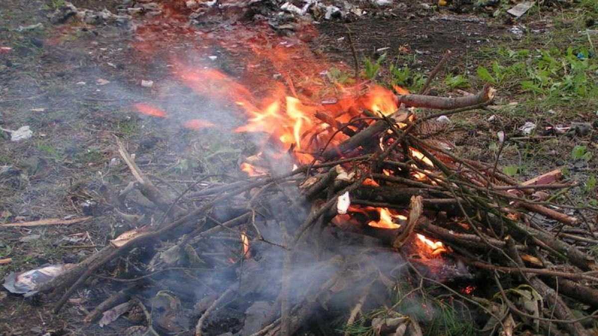75 выездов за неделю: в Ярославской области всплеск палов сухой травы
