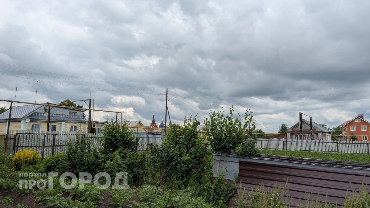 Больше не покупаю шланги для полива: теперь трачу 10 минут вместо целого дня, а водой пропитываются все грядки 