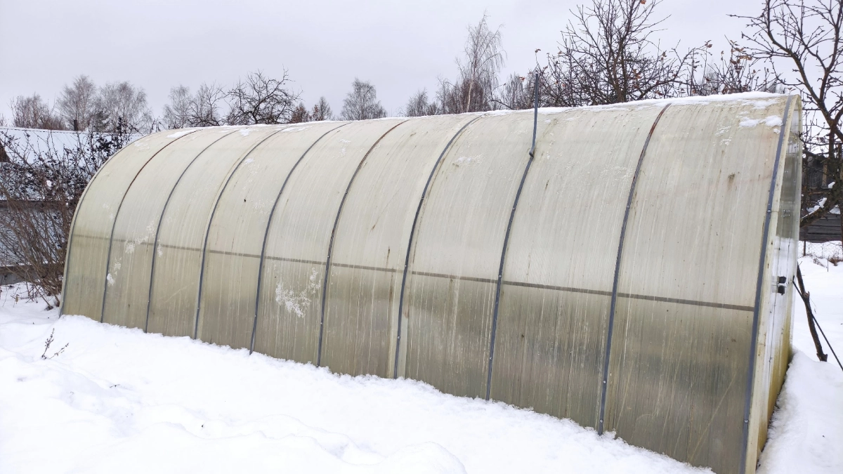 Теплицы из поликарбоната - прошлый век: садоводы скупают в Светофоре укрывной тент с люверсами за 350 р - надежная защита для рассады