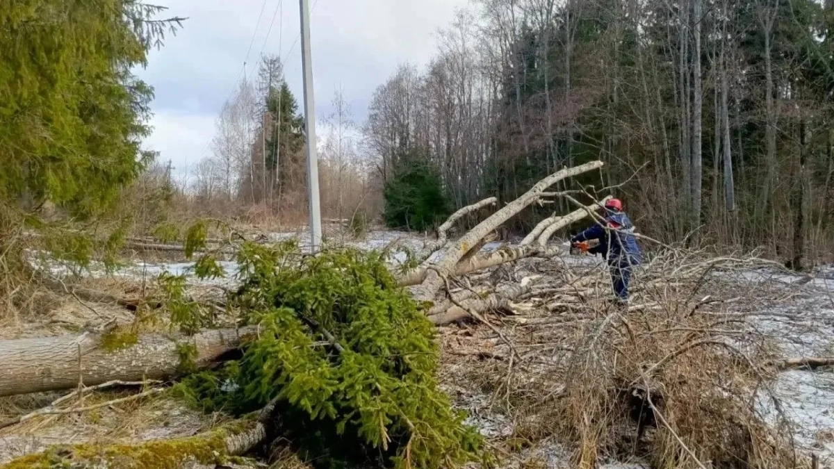 57 бригад восстанавливают электроснабжение в Ярославской области после снегопада