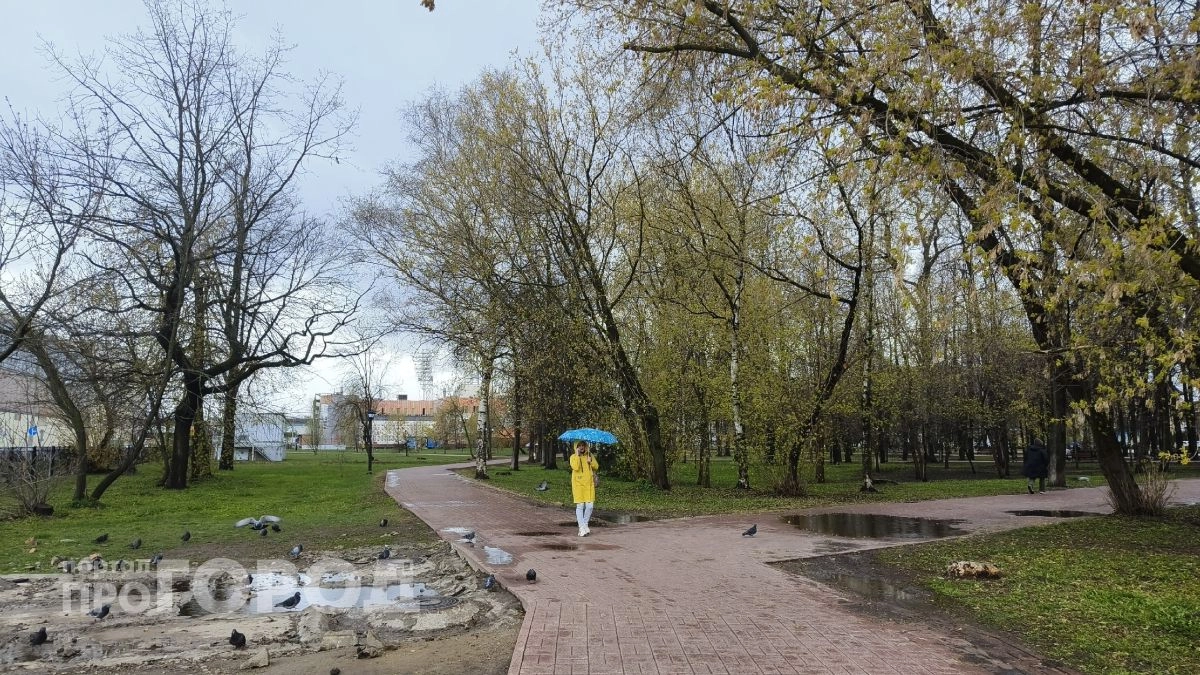 Ярославль уходит от заморозков: к 9 мая придёт почти летняя погода