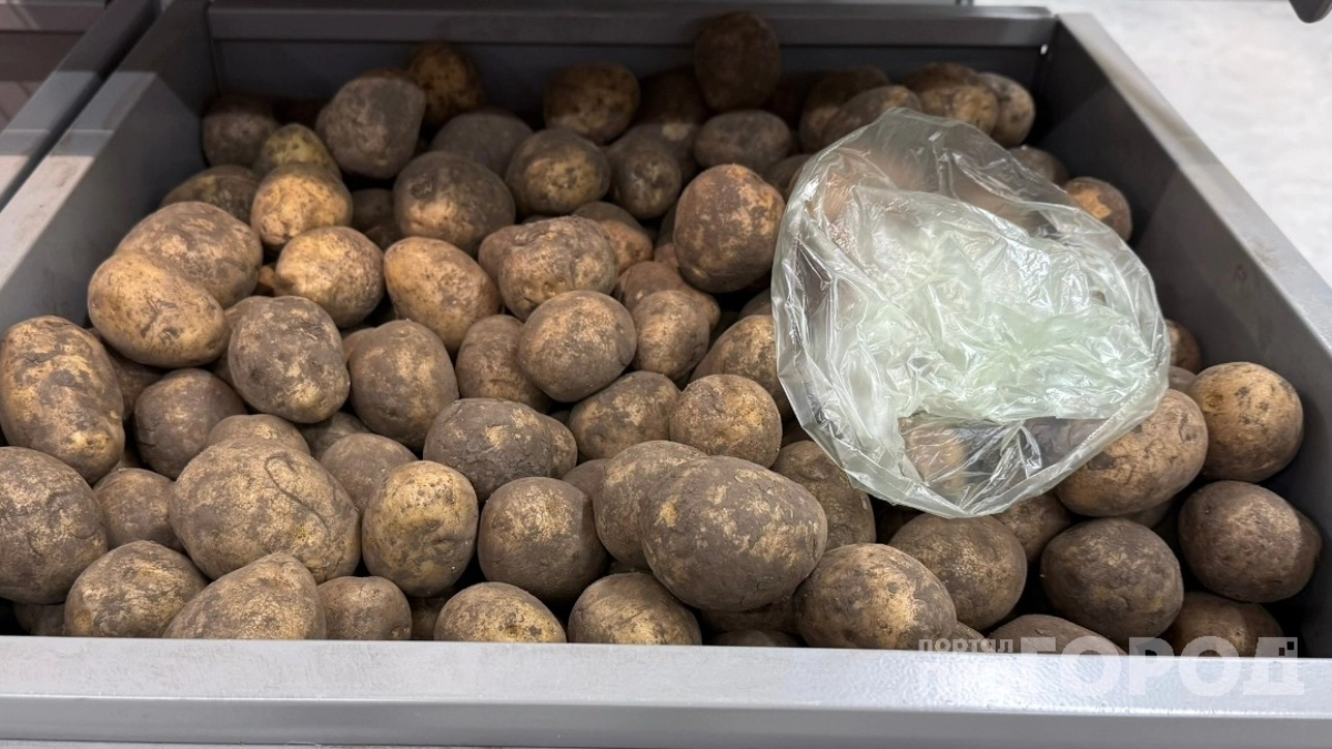 Соседи хвастаются Синеглазкой, а я собрал 30 клубней с куста: вот какой сорт картофеля меня не подводит уже 5 лет