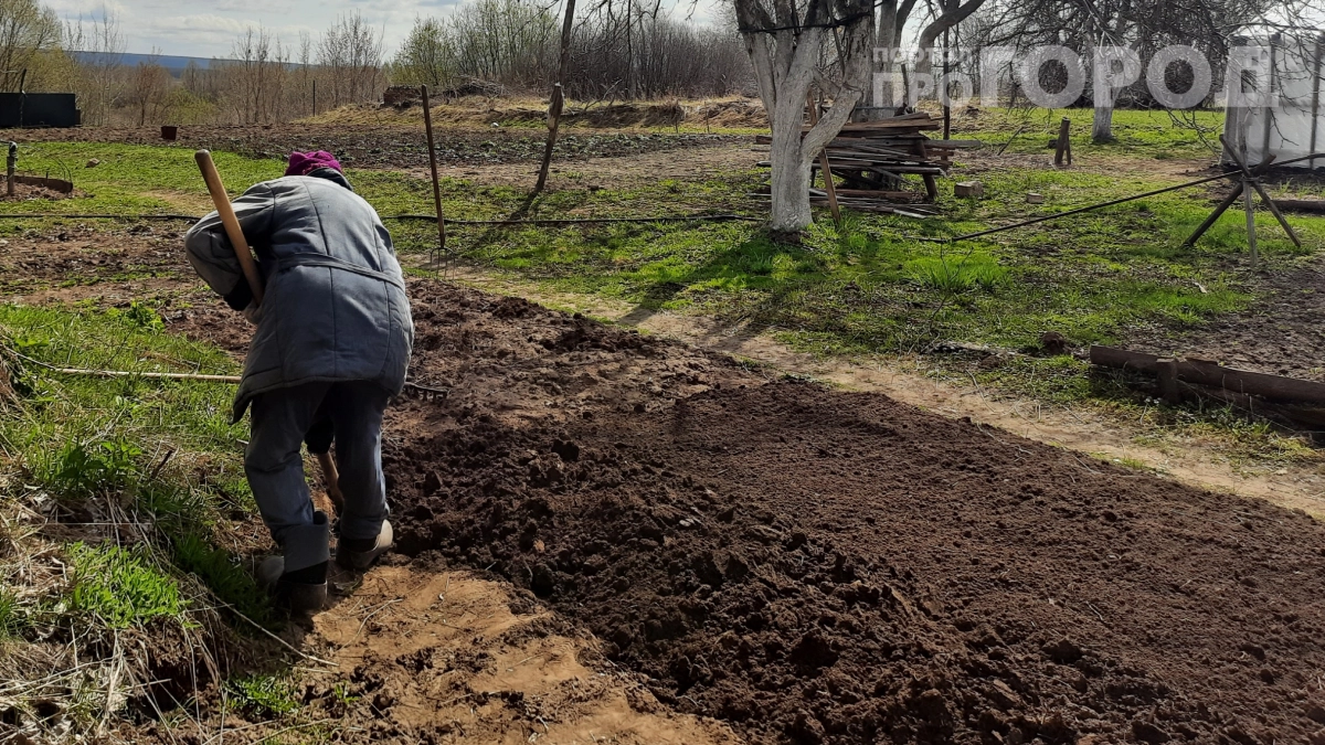 Уксус или лимонная кислота — 2 способа гашения золы: почему один тормозит рост, а другой его ускоряет — узнайте какой